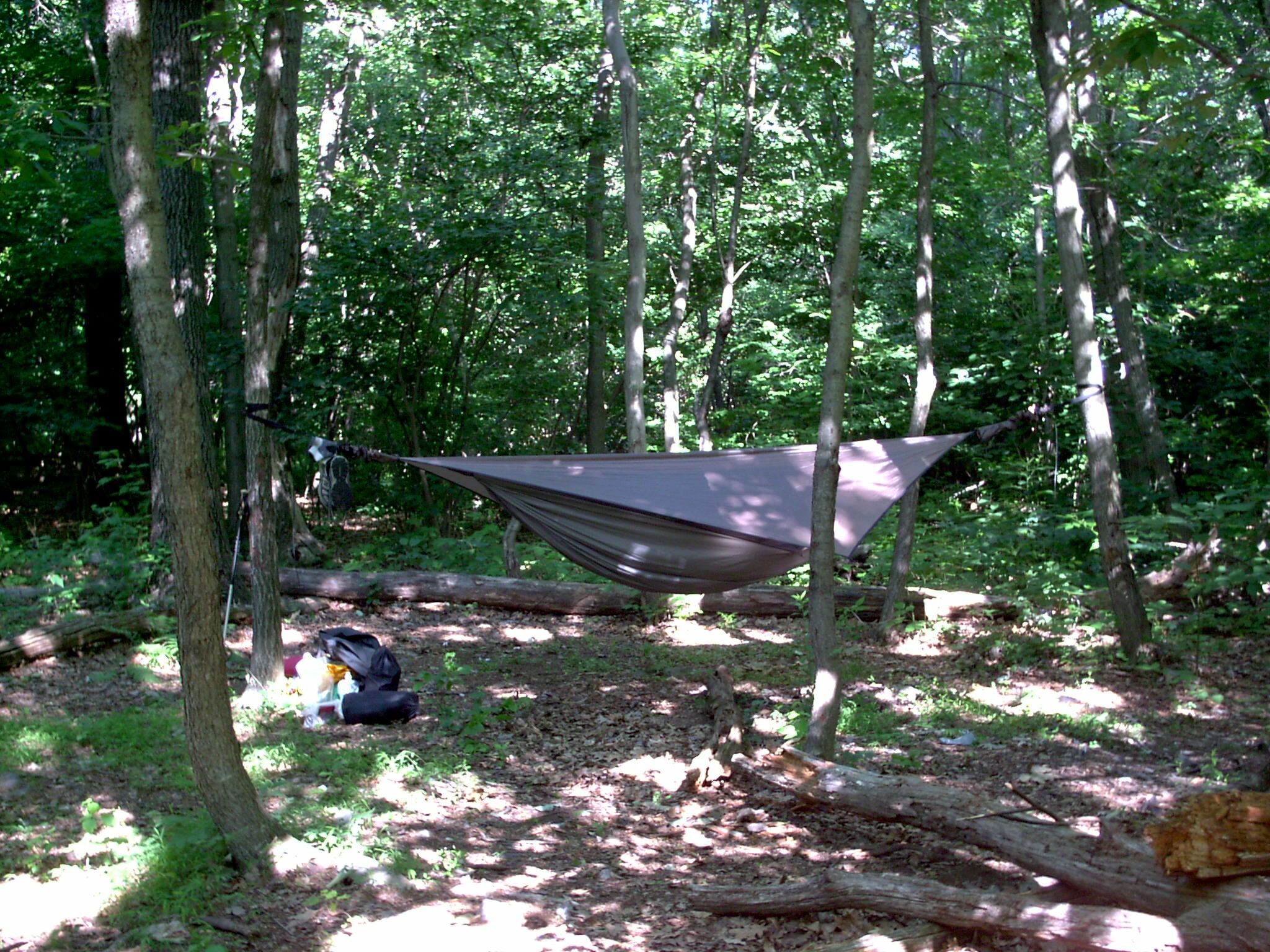 MM 8.8 - My hammock hung at Applebee Campsite .5 miles north of 501 Shelter. A very nice site maintained by the same ranger as 501, with ring, several sites and register.  Courtesy stewartriley@earthlink.net